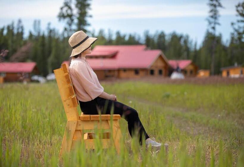 Bed and Breakfast Northern Lights Resort & Spa