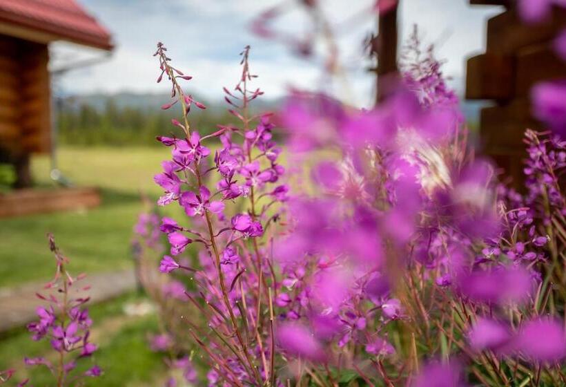 Bed and Breakfast Northern Lights Resort & Spa