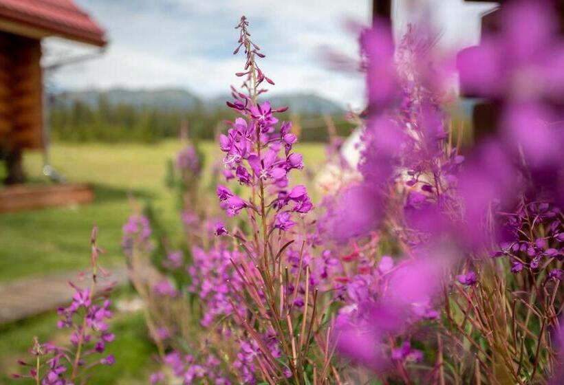 Bed and Breakfast Northern Lights Resort & Spa