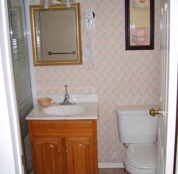 Capricorn Motel Royale 1000 Islands