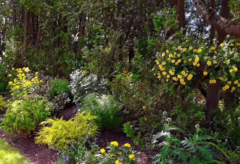Fundy Heights B&b