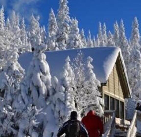 호텔 Auberge Centre Ville