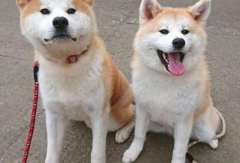 Grand Park Hotel Odate