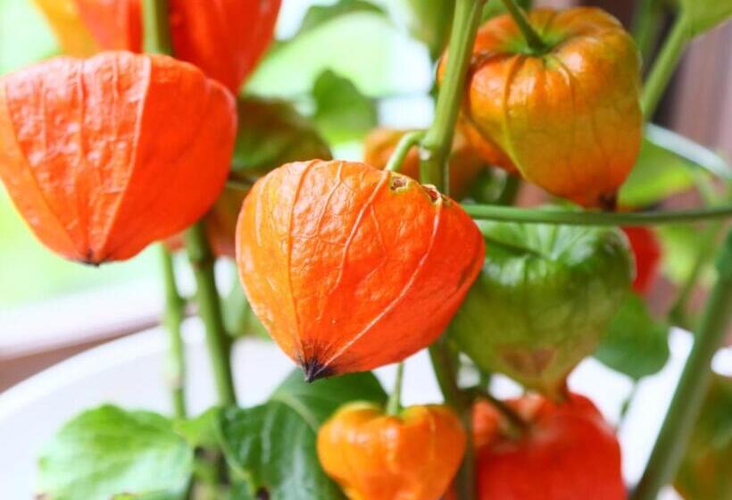 호텔 & Restaurant Yesterday