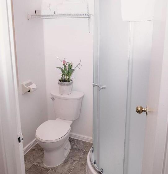 فندق The Queen's Inn