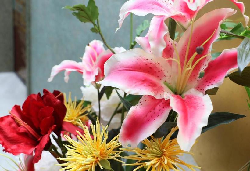 ريوكان Grand Yamamikan