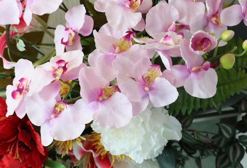 ريوكان Grand Yamamikan