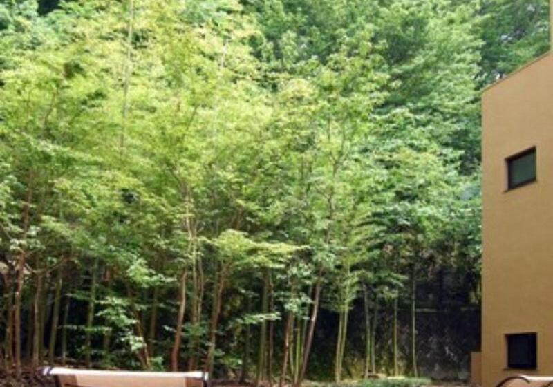 日式旅馆 Hakone Tokinoshizuku