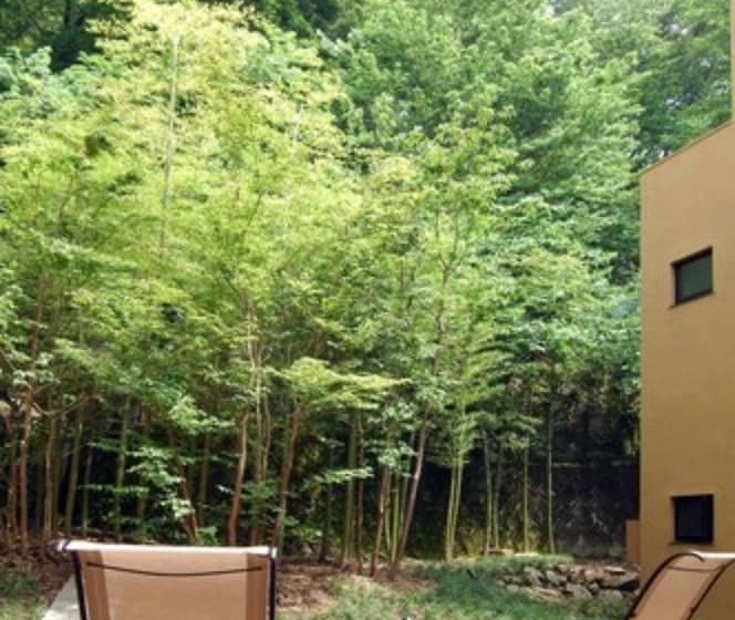 日式旅馆 Hakone Tokinoshizuku