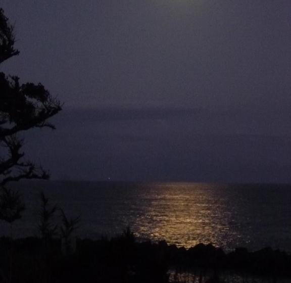 Maguro No Oyado Ishigami Hot Spring Ryokan