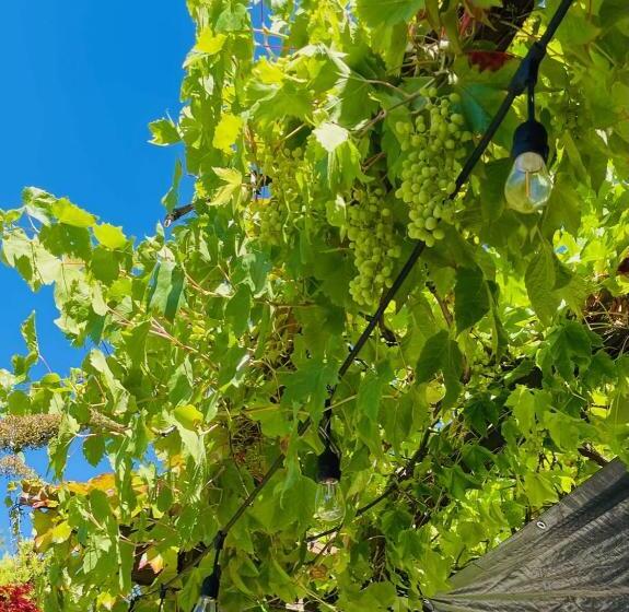 The Tuwanek Hotel And Spa