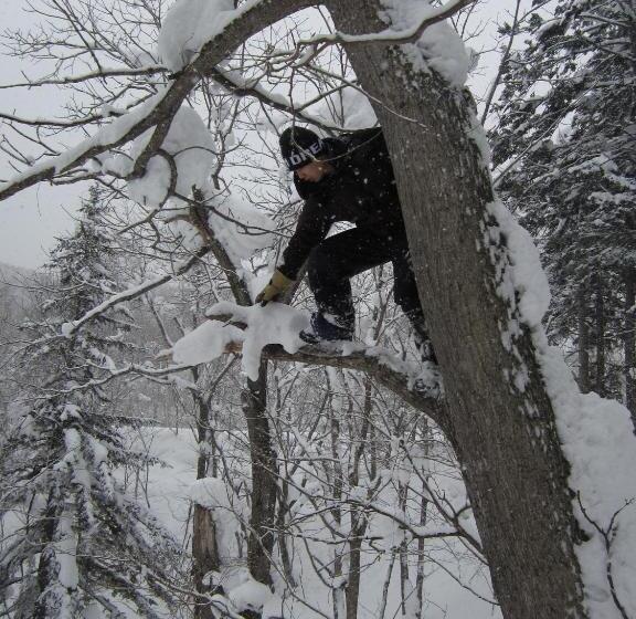 호스텔 Boken Kazoku