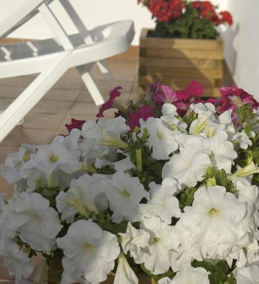 Hostel & Gym Relise Albergue Juvenil