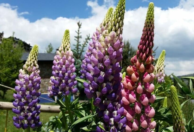 هاستل Xalet Refugi Pere Carne