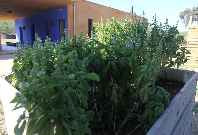 צימר Fundació L'olivar