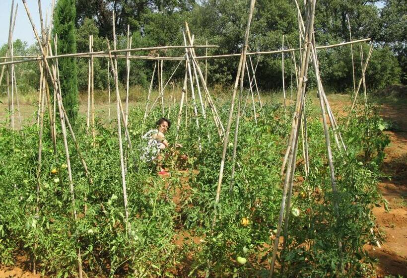צימר Fundació L'olivar