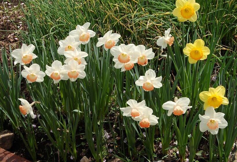 Bed and Breakfast Onsen Pension Hanasakiyama