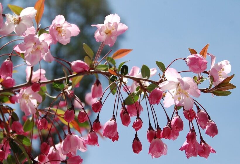 Bed and Breakfast Onsen Pension Hanasakiyama