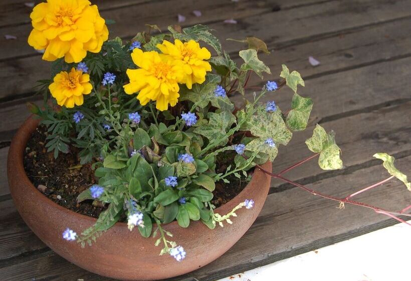 Bed and Breakfast Onsen Pension Hanasakiyama