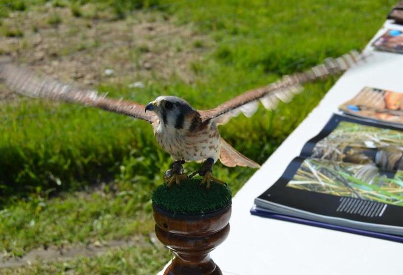 בית מלון כפרי Restaurante Canero