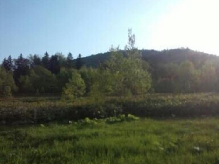 Petit Hotel Gracey Tomamu