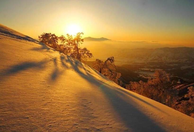 ריוקאן Seisenso