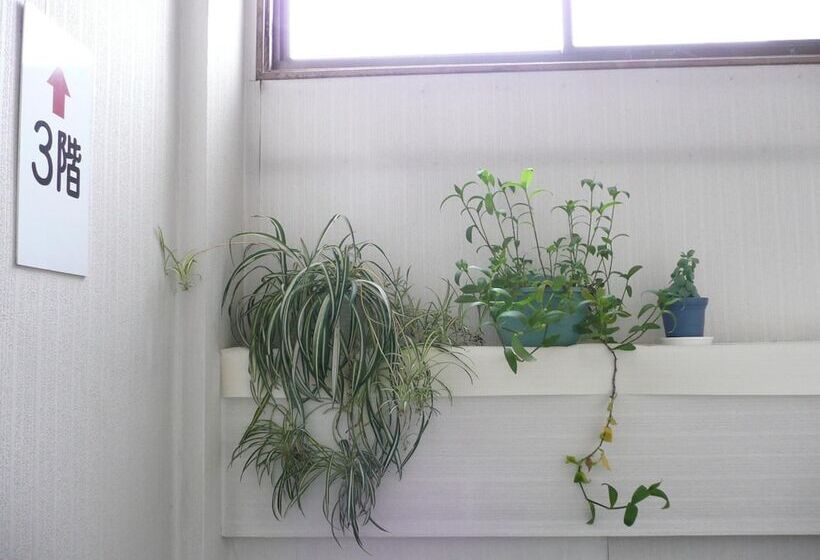 ריוקאן Seisenso