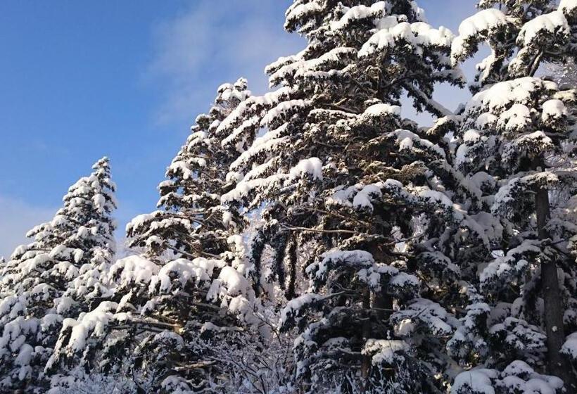 ريوكان Ryounkaku