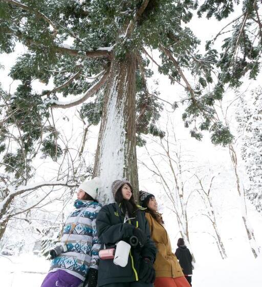 ריוקאן Setoguchi