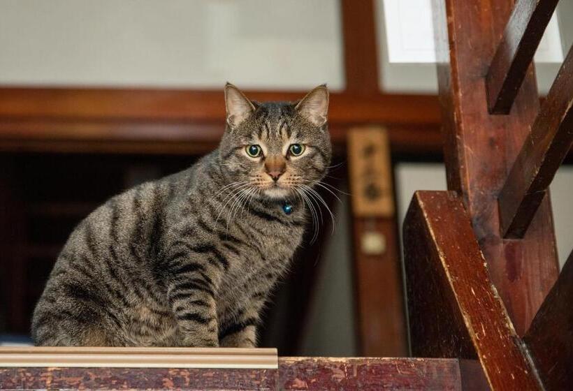 ריוקאן Setoguchi