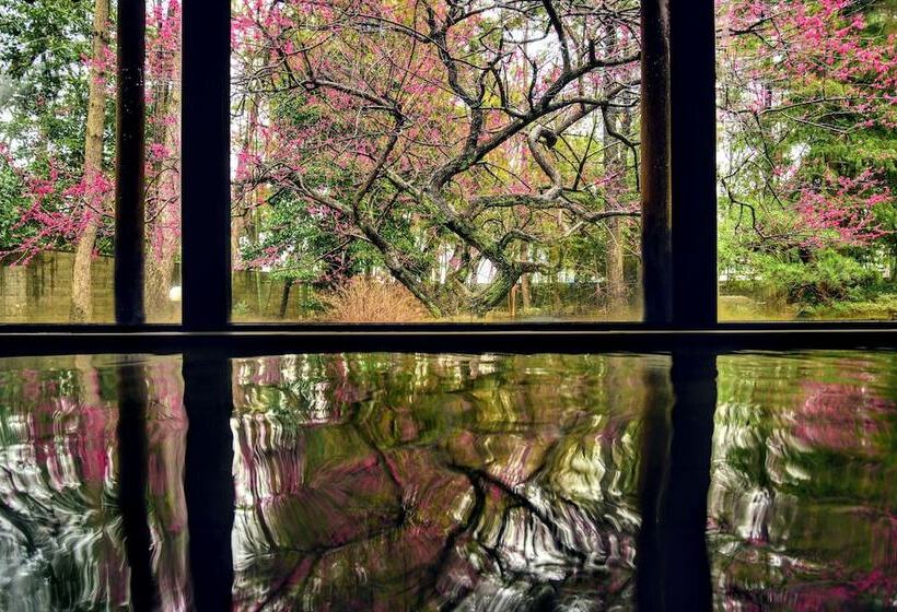 ريوكان Tanakaya