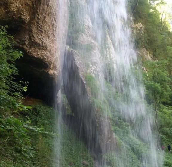 Albergue Armaia Artepea