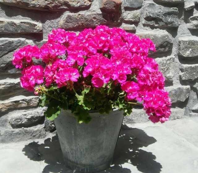 Albergue Armaia Artepea