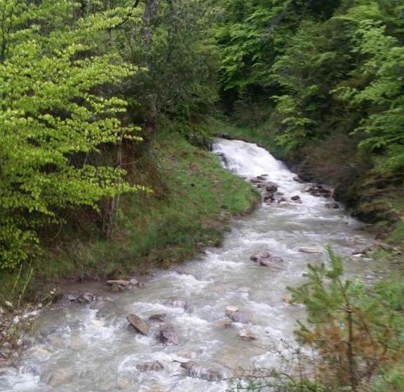 Albergue Armaia Artepea