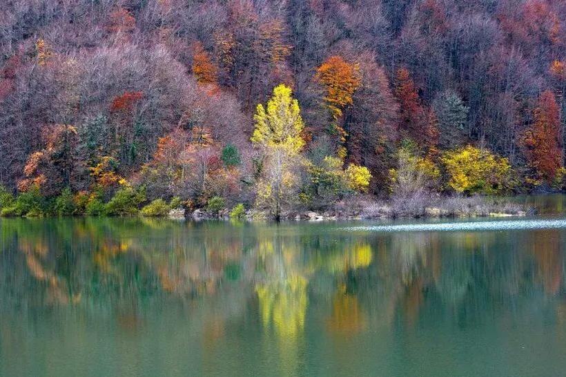 Albergue Armaia Artepea