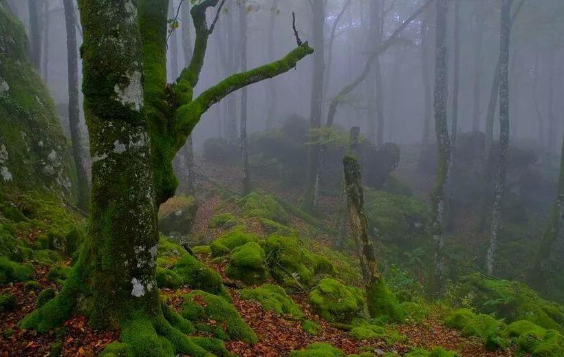 Albergue Armaia Artepea