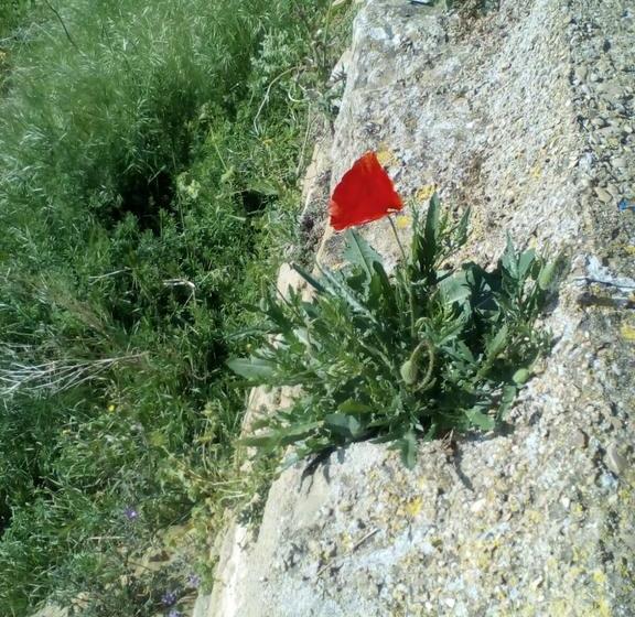 Albergue Rural El Fragal De Ores