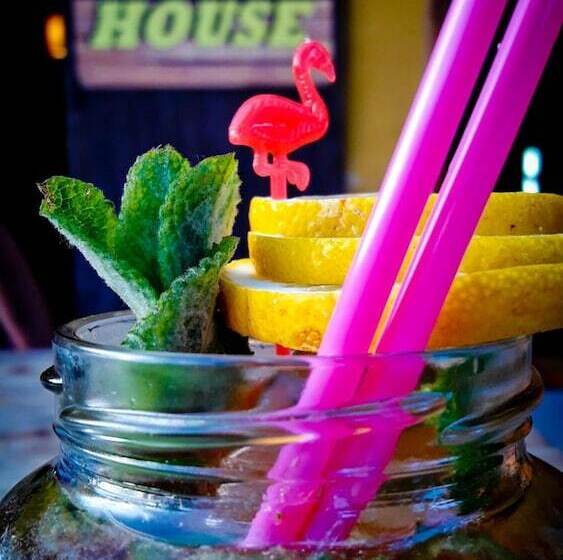 Surftolive House Hostel