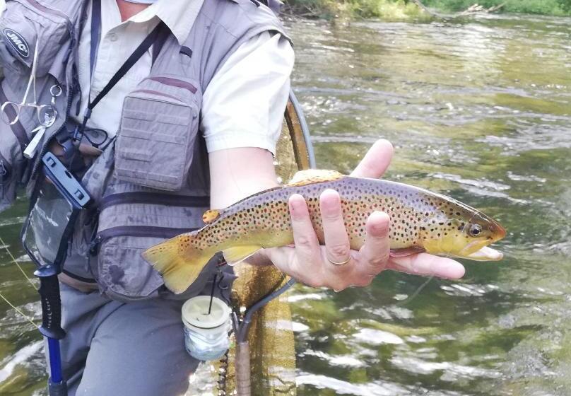 مبيت وإفطار Can Vila