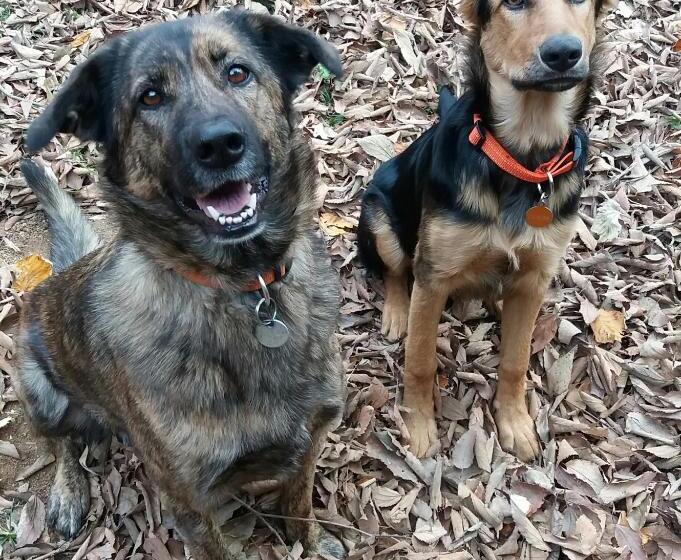 مبيت وإفطار Can Vila