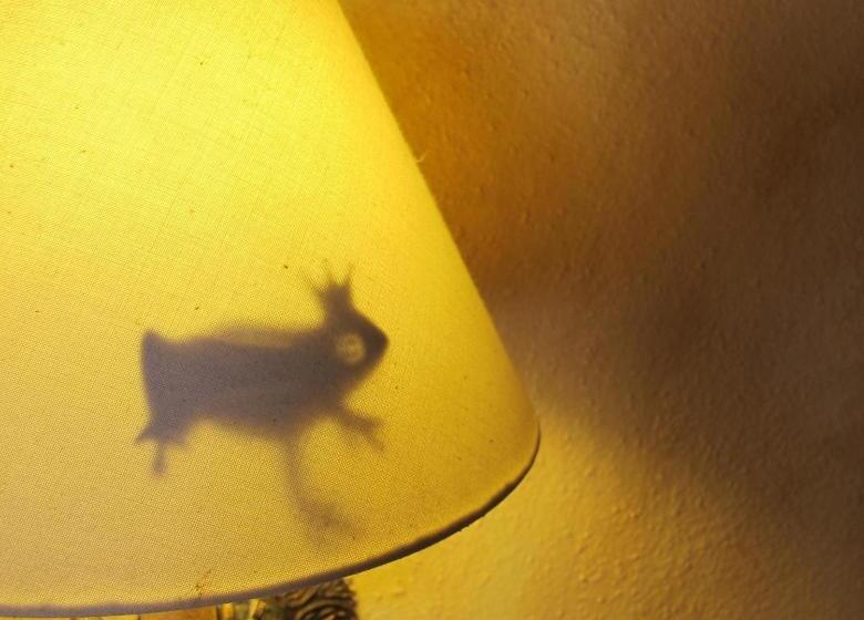 مبيت وإفطار Can Vila