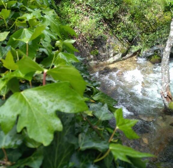 צימר Casa Rural Fuente El Boticario