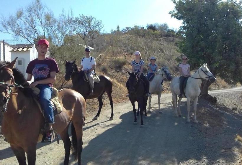 Bed And Breakfast Nuestro Cielo