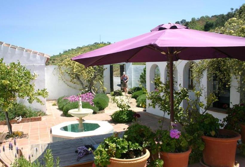 Bed And Breakfast Nuestro Cielo