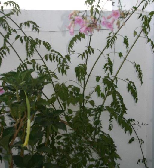 Bed And Breakfast Nuestro Cielo