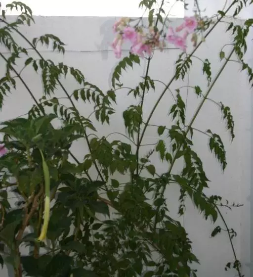 Bed And Breakfast Nuestro Cielo