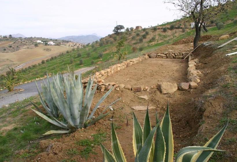 Bed And Breakfast Nuestro Cielo