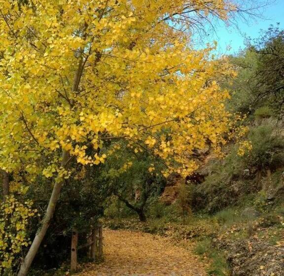 酒店 Condes De Buñol