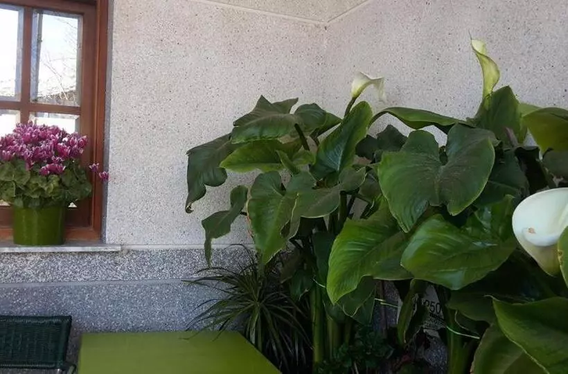 Hotelli Condes De Buñol