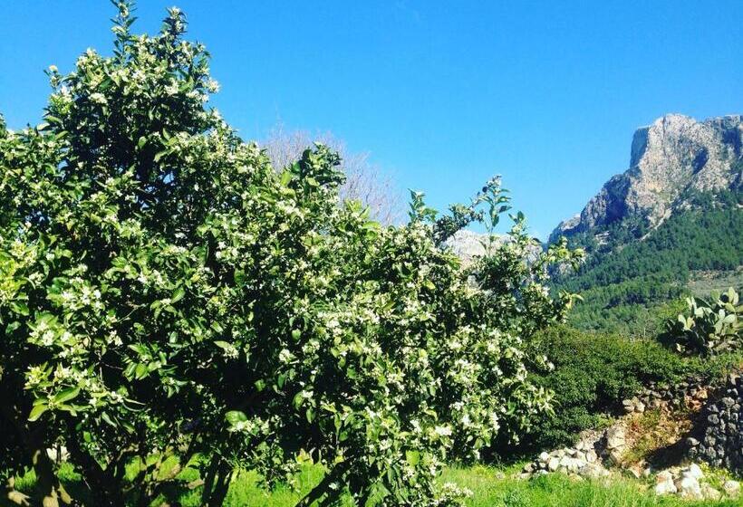 호텔 Finca Cas Sant